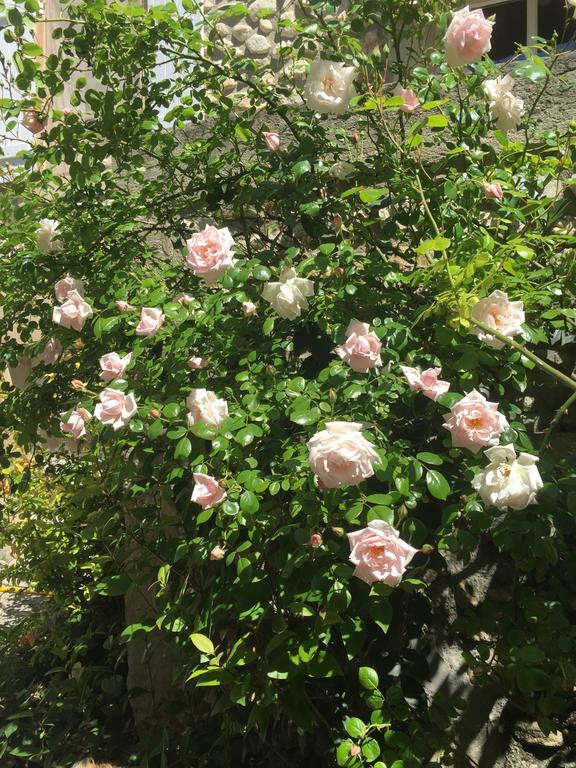 Gites De La Croix Du Gres (Adults Only) Valaurie エクステリア 写真