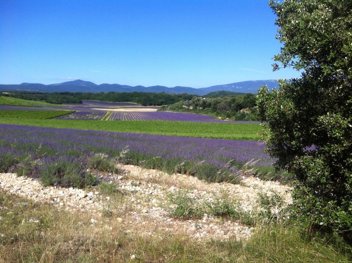Gites De La Croix Du Gres (Adults Only) Valaurie エクステリア 写真