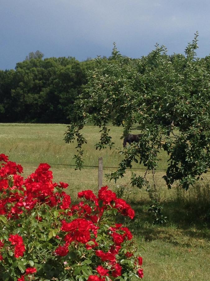 Gites De La Croix Du Gres (Adults Only) Valaurie エクステリア 写真